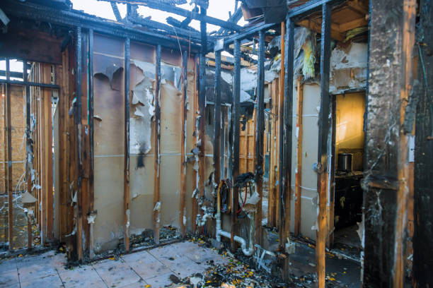 Professional Soot Cleanup technician working in Denton, MD